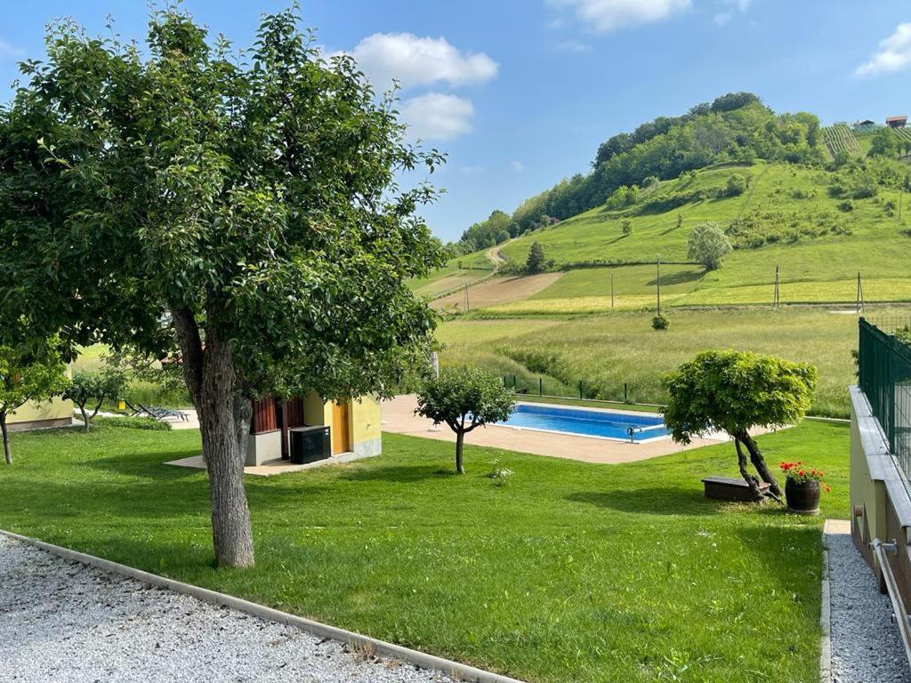 Ruralna Kuca 'Villa Zagorka' Za Odmor Sa Bazenom I Bocalistem Donja Pacetina Екстериор снимка