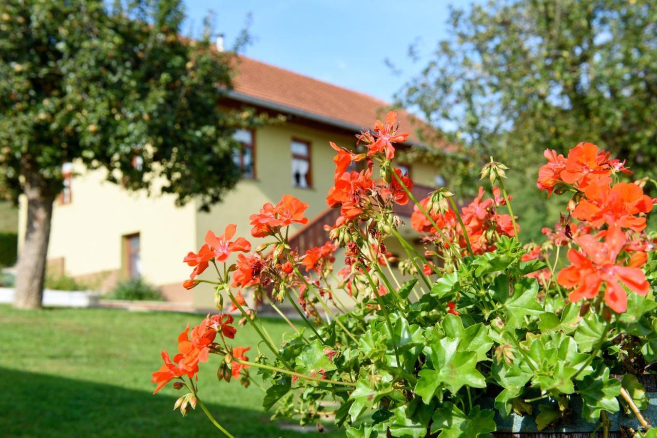 Ruralna Kuca 'Villa Zagorka' Za Odmor Sa Bazenom I Bocalistem Donja Pacetina Екстериор снимка